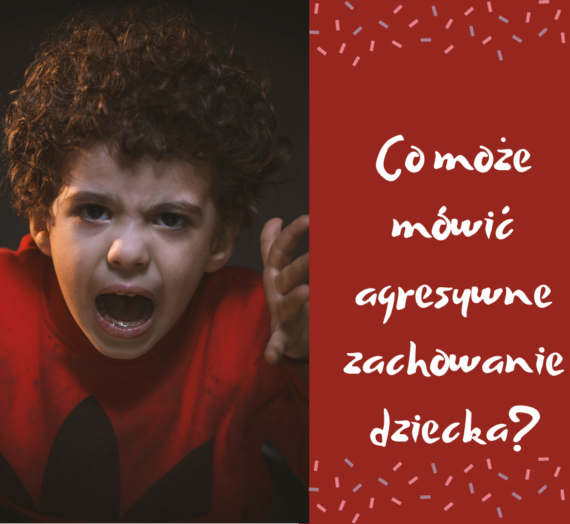 Co może mówić agresywne zachowanie dziecka?